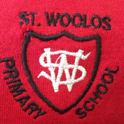 St Woolos Primary Profile