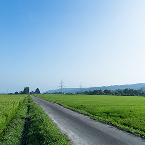 自然豊かでのんびりとした空気のながれる南房総がすきです。千葉県 袖ケ浦 木更津 君津 富津 安房 鋸南 南房総 館山 鴨川 勝浦 いすみ 横須賀 横浜