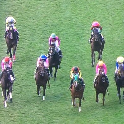 中央競馬も好き、南関東も、好きです。