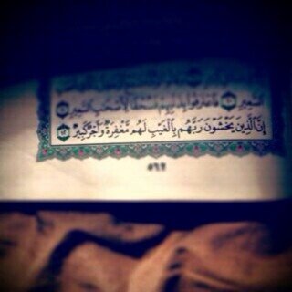و ما توفيقي الا ﺑ الله عليه توكلت و اليه انيب ~