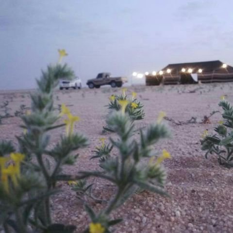 آستغفرالله واتوب إليہ ♡