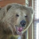 Keegan McGrath - @KeegMcgrath - Twitter