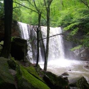 ohiopylestatepa's profile picture. Official Ohiopyle State Park Twitter