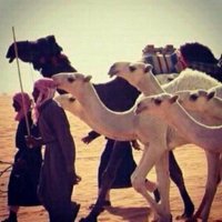 سيف الدوسري (@seef019) 's Twitter Profile Photo