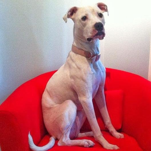 NameIsNotBlank's profile picture. Inactive account.  Follow @5keysAuthor1.