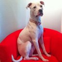 John Boyer - @NameIsNotBlank - Twitter