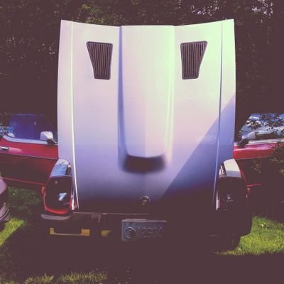 stax42's profile picture. life... ✈