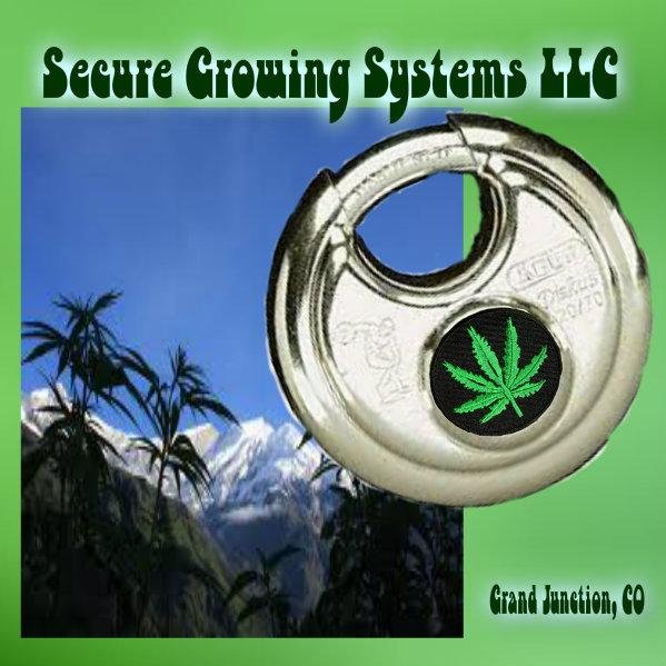 Secure Grow USA is Colorado's premier, secure place to grow your OWN marijuanna! From seed to fully matured. Grown by you or help from us! And of course..GREEN!