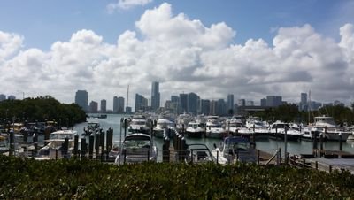 coconutgrowth's profile picture. 