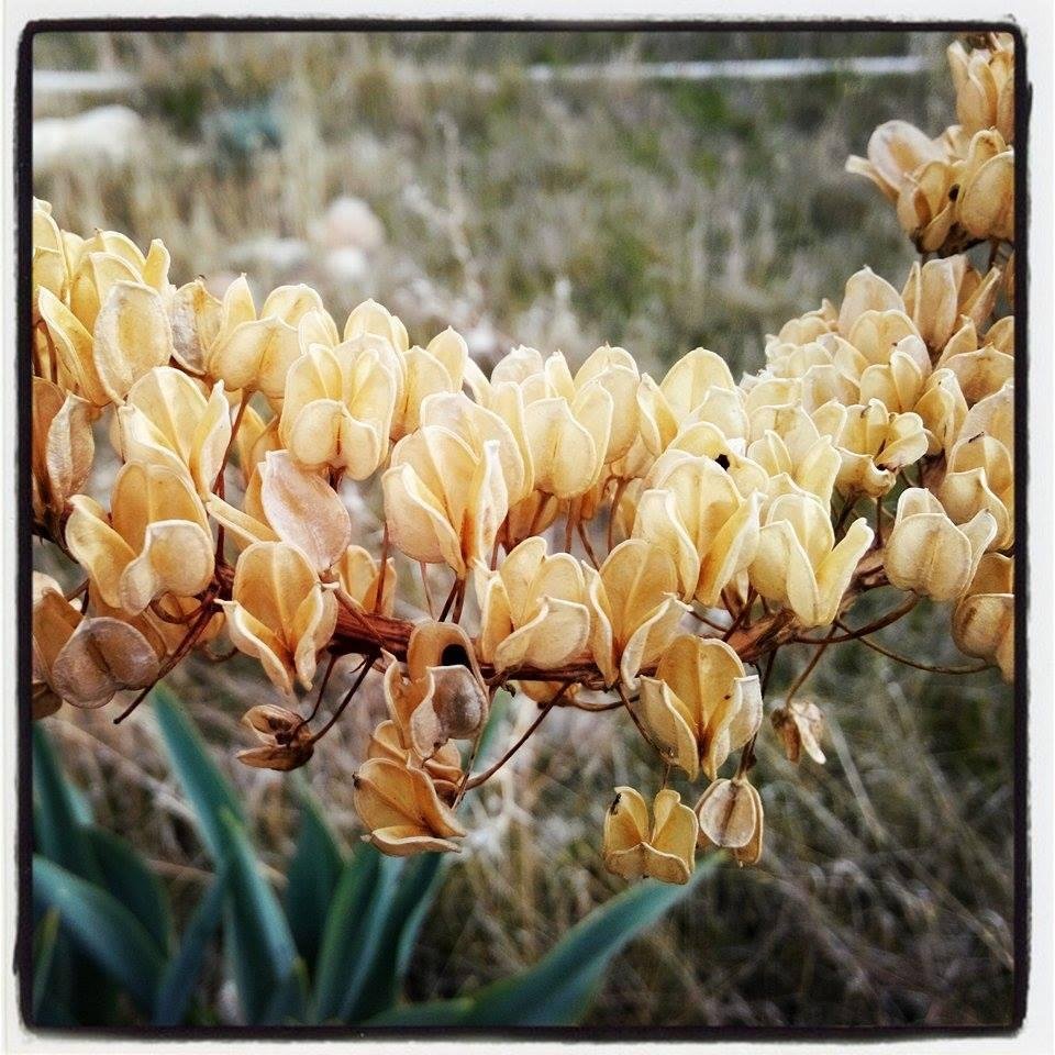 MBMphotogram's profile picture. PhotograMBM Resmi Twitter Hesabıdır.