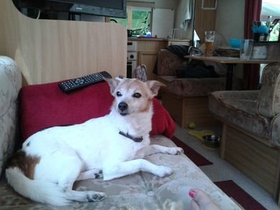 LuckyMorley's profile picture. 