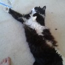 Kimberly Collins - @KimFoo10 - Twitter