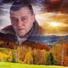 windsonne1's profile picture. 