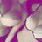 Compte_Followk's profile image