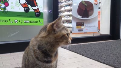 Paully_Goodday's profile picture. I try to use twitter more.