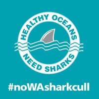 #nowasharkcull / Shark Safety WA (@nowasharkcull) 's Twitter Profile