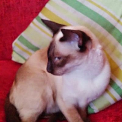 amanda_cusack's profile picture. 