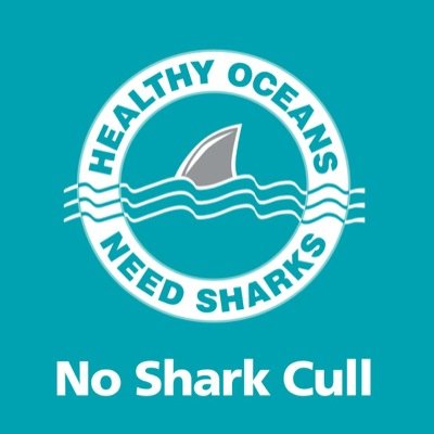 No Shark Cull is focussed on shark conservation in Australia, with a particular focus on non-lethal shark bite mitigation measures. Founder: @infernojourno