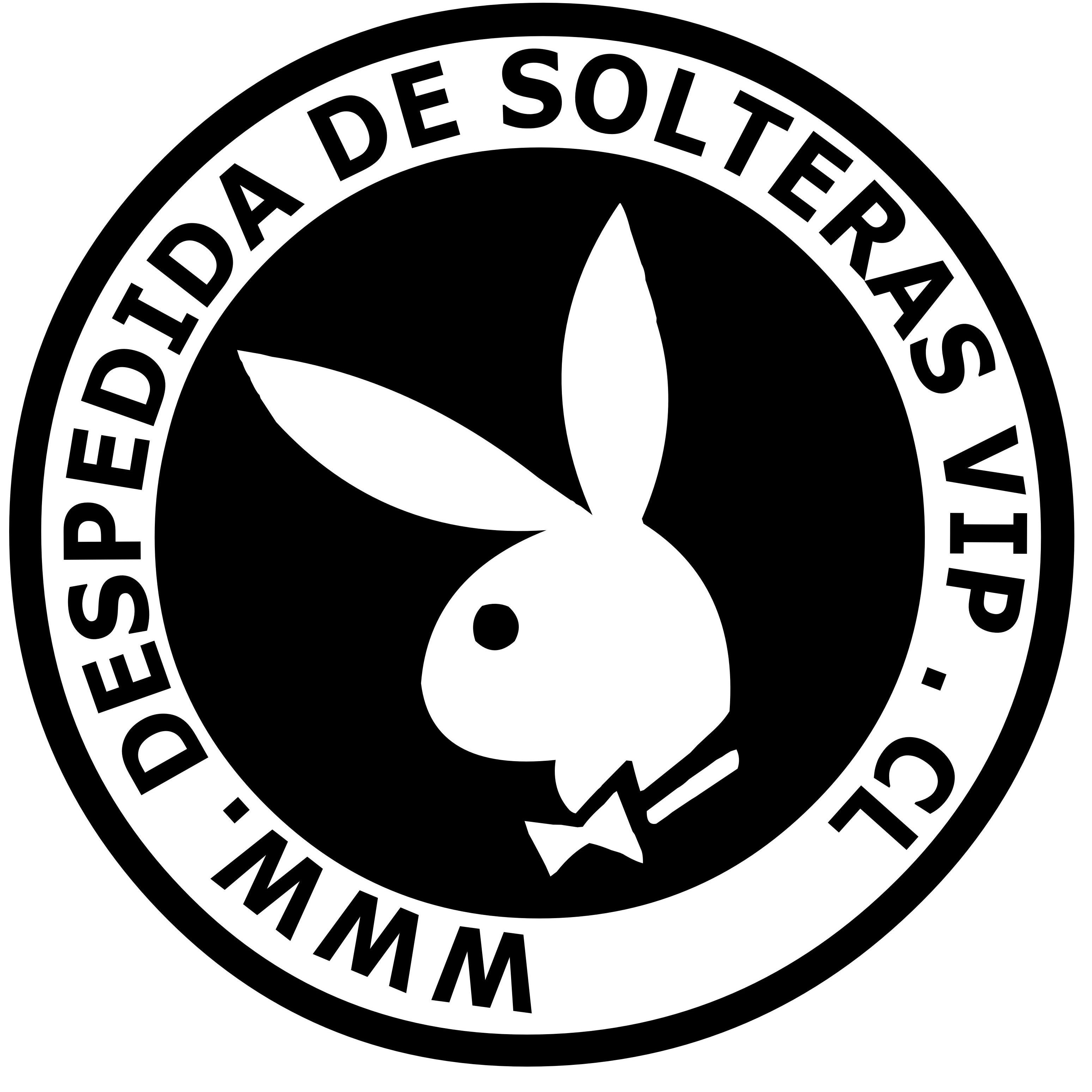 Somos una empresa líder en la realización de Despedidas de Solteras en Santiago de Chile. Stripper, Animadores, Dj, Luces, Todo lo que buscas. Eventos Privados.