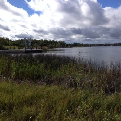 northerner_erin's profile picture. I eat all the cookies