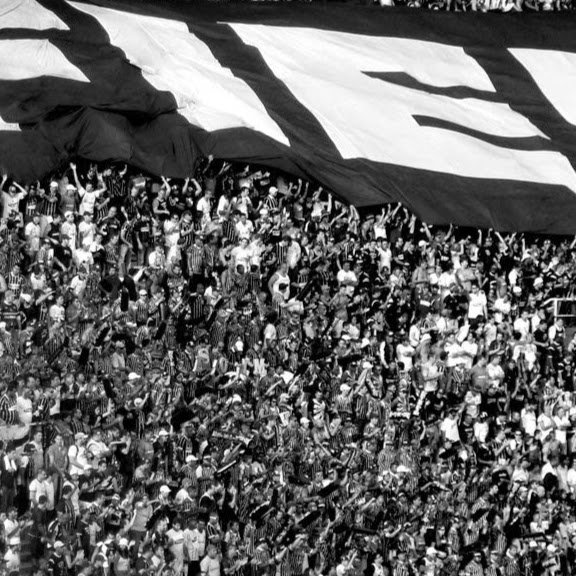 sai zica, LEVANTA E CANTAÊ!