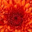 dora baumann - @ventas60314741 - Twitter