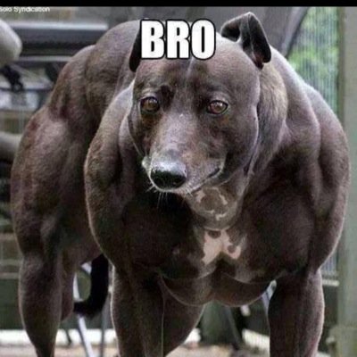 Harrywilliamsxx's profile picture. Player/ leader of E4. GFX leader= @90sReligion ( also ps4 leader. ) 
YT: E4Sniping
Twitch: Team E4 
Twitter: E4 sniping.