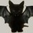 kumashiroyura's profile image