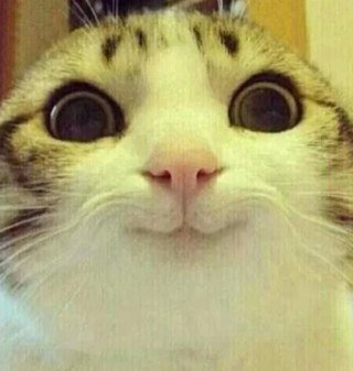 nathangbrf's profile picture. Member of invision gaming. Competitive player looking to go pro.