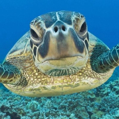 まじめな会社員。いろいろなことばや情報を収集させてもらっています。
