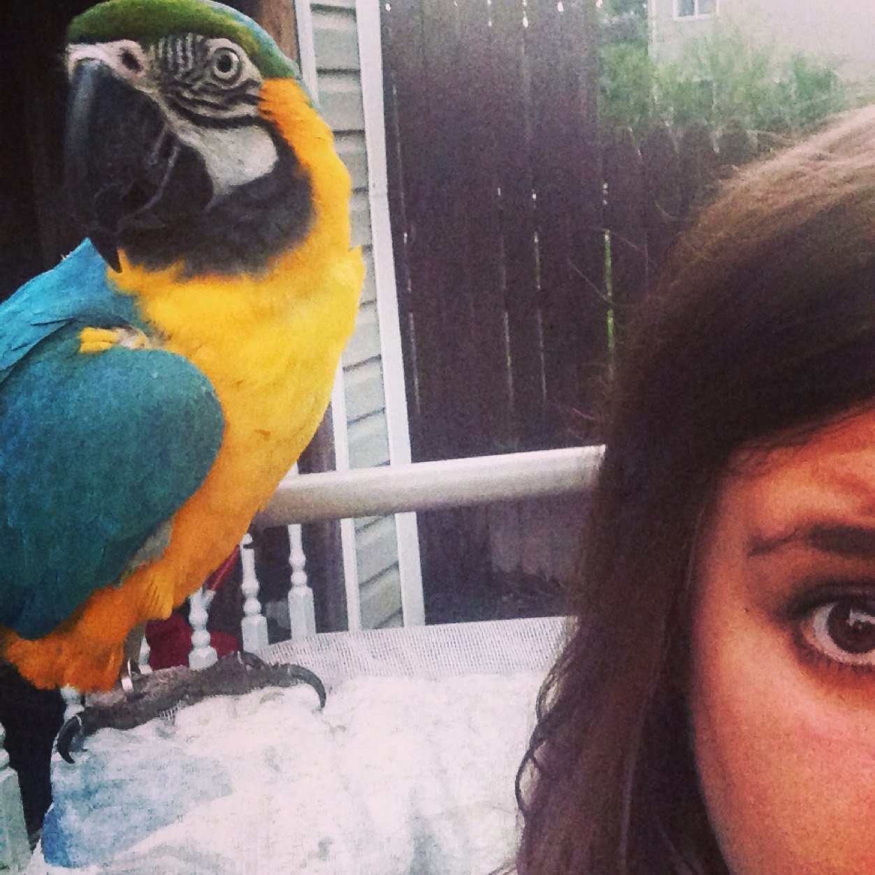 ksmerka's profile picture. Ya live and ya learn
