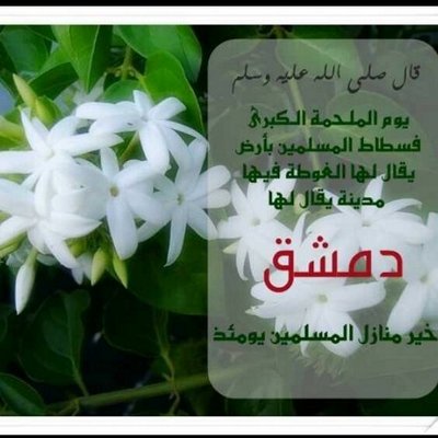 الحنين الى الوطن בטוויטר سمعت الشمس بتهمس همس صباح الخير سوريا صباح الخير ياارض الخير شمسك مين يطفيا
