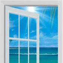 WhiteWindows2's profile picture. My specialty is weekly $SPY options.