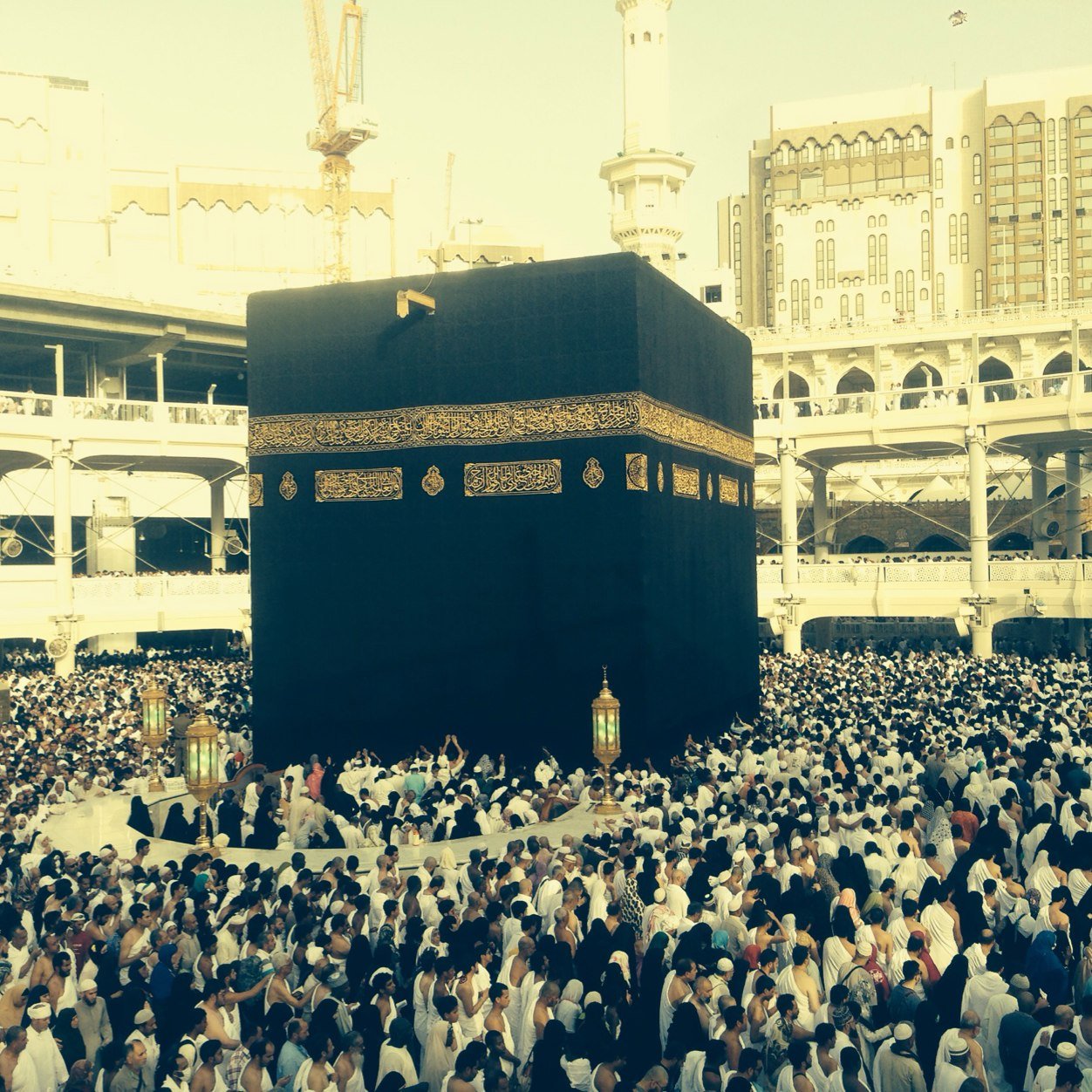 4__mosa's profile picture. من تعود على قول : يا حي يا قيوم لا إله إلا انت سبحانك برحمتك استغيث ؟ كتبت له حياۀ القلب قولاً و فعلاً احيوا قلوبكم بها . لا تنسوهم من دعائكم اللهم اشف سلطان