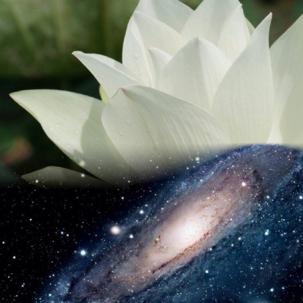 ftm_alhammadi's profile picture. http://t.co/fxgTekqTKp