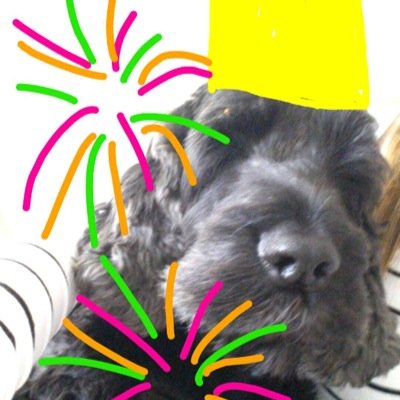 puppypower289's profile picture. 