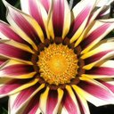 julia redman - @jrusha21 - Twitter