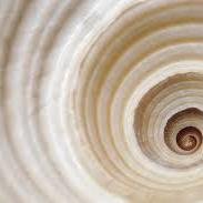 TheStoryofU's profile picture. 