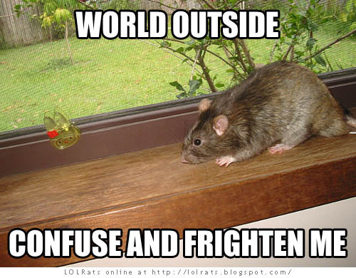 daddyscommie's profile picture. 