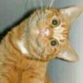 MarieRainbow96's profile picture. 