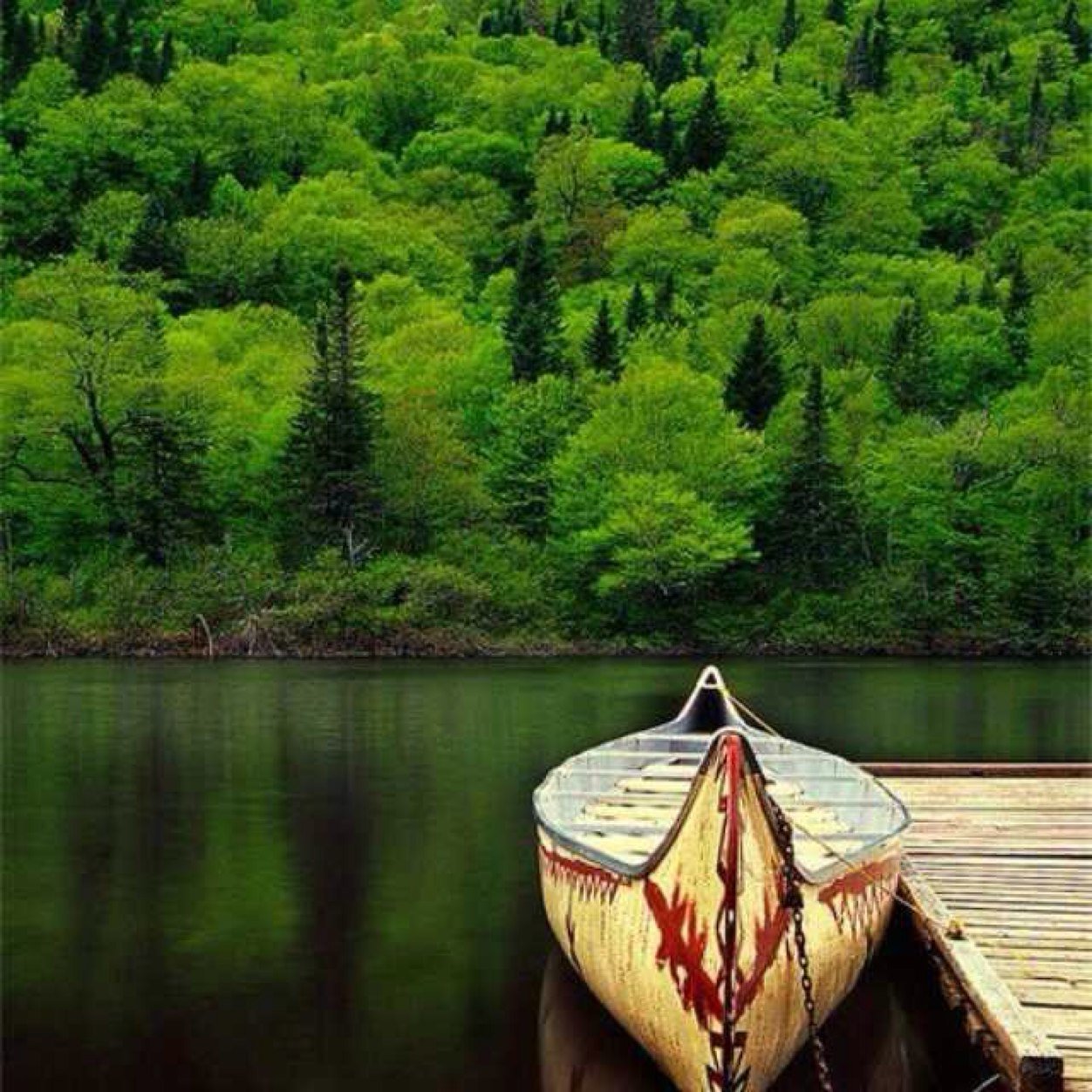 Alrhely999's profile picture. اللهم يسرلي حفظ كتابك ، وأمتني ميتةً حسنة ، وارفعني في الفردوس ، إنك على كل شيء قدير. المدينة المنورة