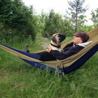 NancyfromGuelph (@nancythornbush) 's Twitter Profile