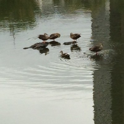 mjtwmdajqtj's profile picture. 