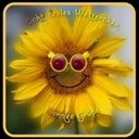 Vera Wolff - @VeraWolff63 - Twitter