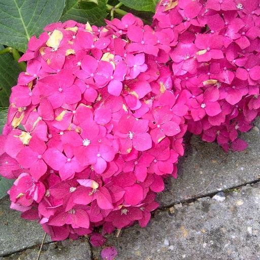 leyla91041014's profile picture. 