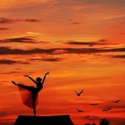 dancelifethings's profile picture. Shoutouts for all dancers that are following!!! Tweeting the thoughts and experiences of a dancer. POINT YOUR FEET. TUCK UNDER YOUR BOTTOM. TURN OUT!!!