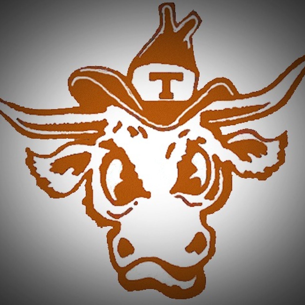 Covering Texas Men's Basketball, Football, and Baseball! Writer for @TexSportsReview.