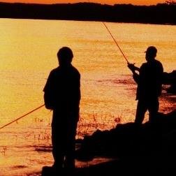 fishpickwickal's profile picture. Colbert County Tourism and Convention Bureau promotes fishing and other activities on Pickwick Lake in northwest Alabama.