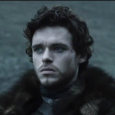 NorthernRobb's profile picture. King in The North, mother's boy and brother to @bran_stark96 and @SansaLadyStark(Rp) MV