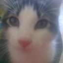 karin nowak - @130256 - Twitter